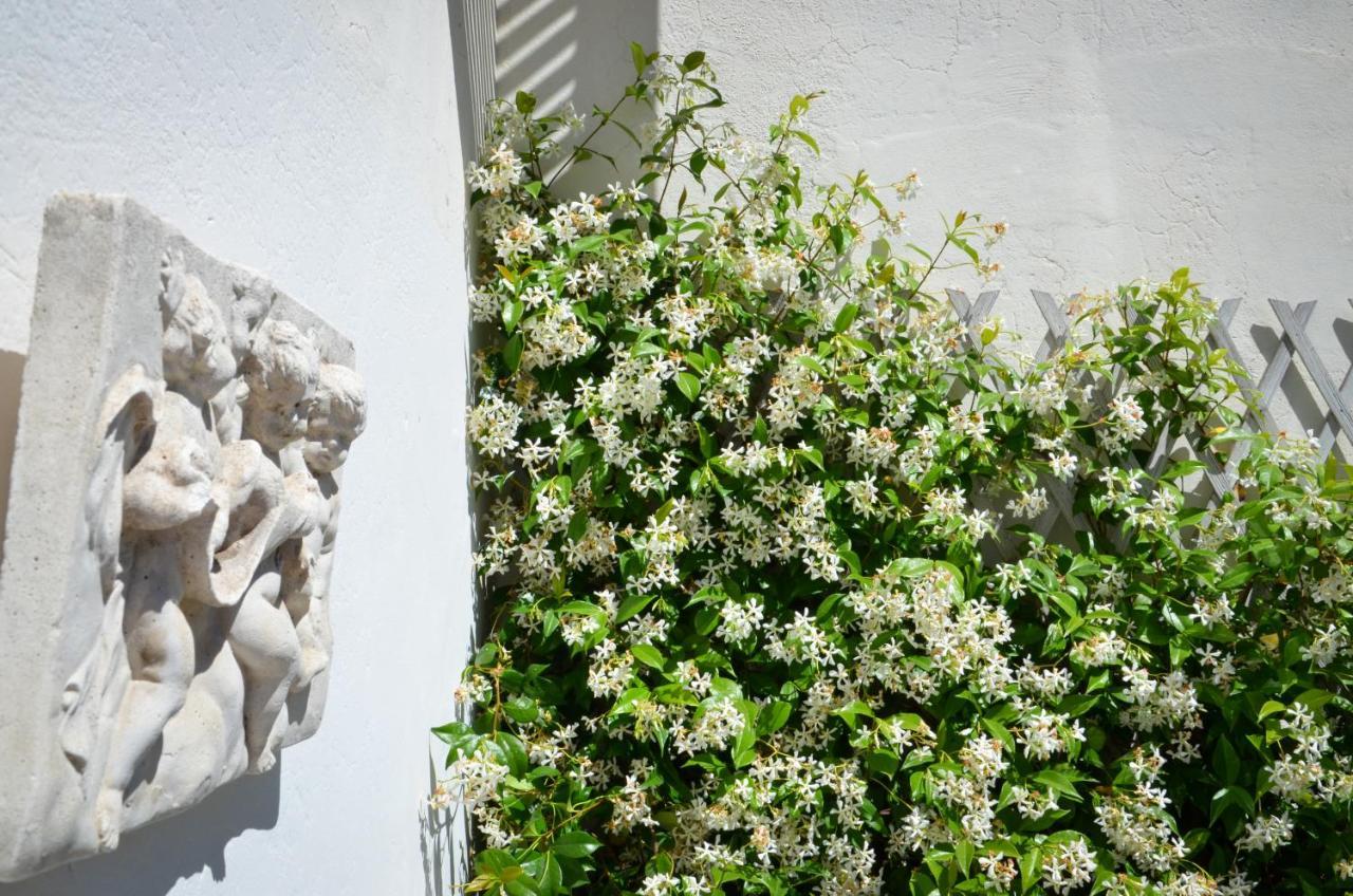 Appartamento Luxury Pantheon *